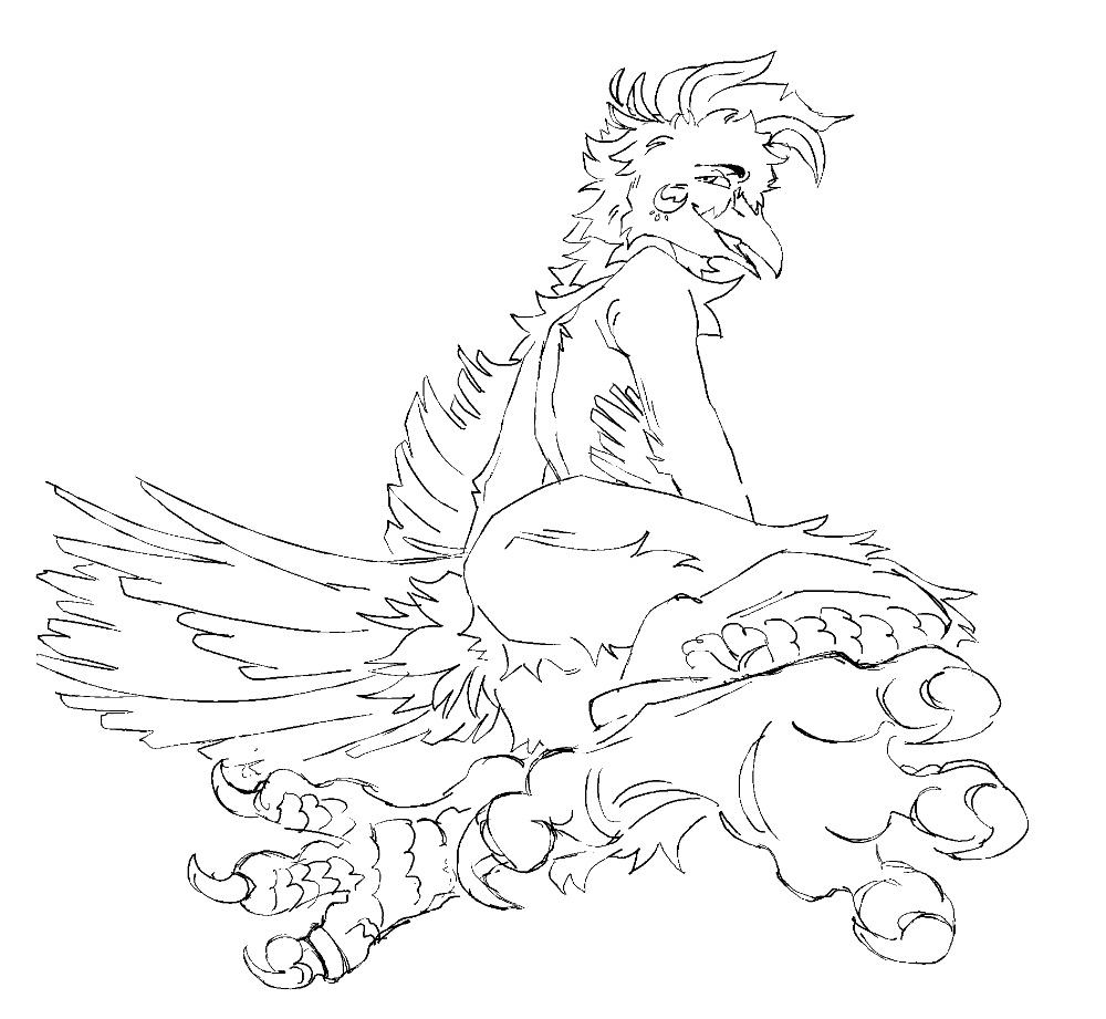 A bird with his claws present and facing the screen