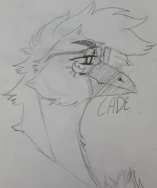 Cade the Crow, art by MommaShirai