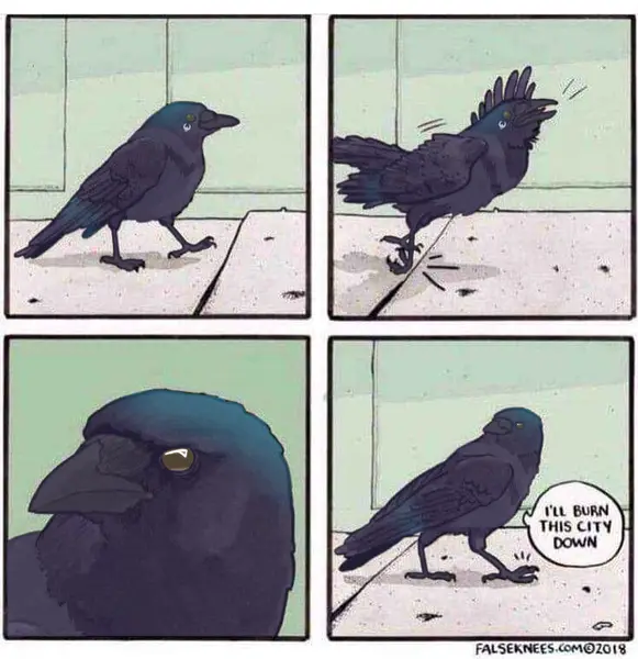Cade the Crow, art by crystalwhisker